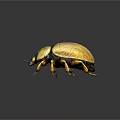 Detailed 3D Rendered Golden Beetle With Shiny Shell And Legs On Dark Background
