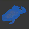 Isolated Vibrant Orange Frog With Shiny Skin on Dark Background