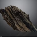 Weathered Plant Tree Trunk With Natural Texture Brown Blue Colors On Gray Background Reflection
