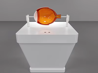 Eyeball Anatomical Model Displayed On White Stand With Educational Details 3d model