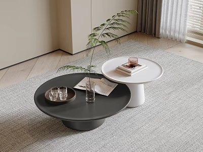 Modern Black And White Coffee Tables With Tray Glasses Magazine And Plant On Rug 3d model