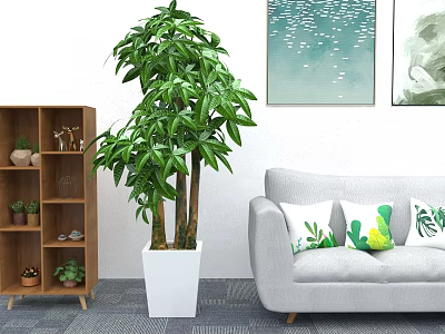 Tall Indoor Potted Plant in White Planter Decorating Living Room with Sofa and Shelf 3d model