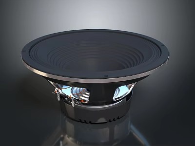 Premium Audio Speaker Component Showcasing Black Diaphragm And Silver Frame Design Details 3d model