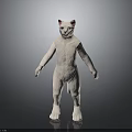 White Cat Standing Upright Full Body With Blue Eyes On Dark Background