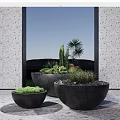 Modern Bonsai Potted Plants In Different Sizes Black Planters With Cactus Palm Greenery