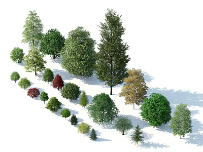Various Types of Arbor Trees with Green Leaves and Different Shapes for Landscaping 3d model