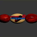 3D Rendered Human Kidneys And Bladder Anatomical Structure With Blood Vessels