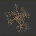 Natural Wood Tree Sculpture With Intricate Branches And Stone Base Design