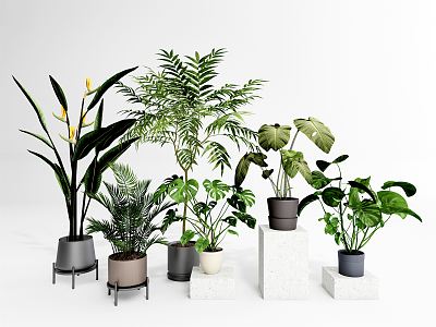 Modern potted plant potted combination 3d model