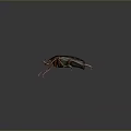 Colorful Decorative Beetle With Green Back Red Spots And Orange Legs