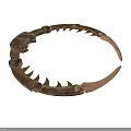Antique Copper Colored Metal Circular Equipment With Decorative Spikes And Details
