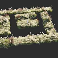 Delicate Flower and Grass Arrangement Forming Intricate Geometric Patterns With White Lavender Tones