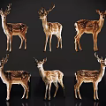 Group Of Six Brown White Spotted Deer With Antlers Standing On Black Background
