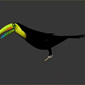 Toucan With Colorful Yellow Green Red Beak And Black Feathers Spreading Wings