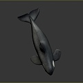 Modern whale cartoon whale killer whale mammal 3d model