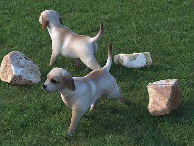 Dog Animal Poultry 3d model Dog Animal Poultry 3d model