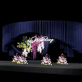 Elegant Wedding Stage Setup With Dark Blue Backdrop And Floral Decorations 3d model