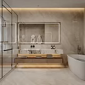 Modern Bathroom Interior With Glass Shower Large Mirror And Freestanding Bathtub