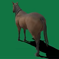Brown horse with white forehead black mane white hooves standing on green background with shadow