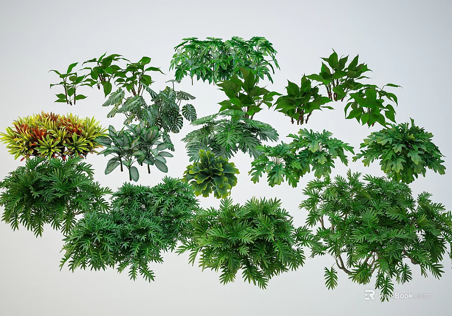 Diverse Leafy Shrubs With Green Foliage And Various Plant Types 3d model 