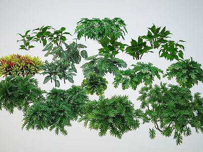 Diverse Leafy Shrubs With Green Foliage And Various Plant Types 3d model
