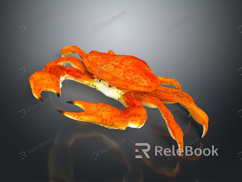 crab sea crab river crab hairy crab bread crab hermit crab big crab small crab marine animal fish model