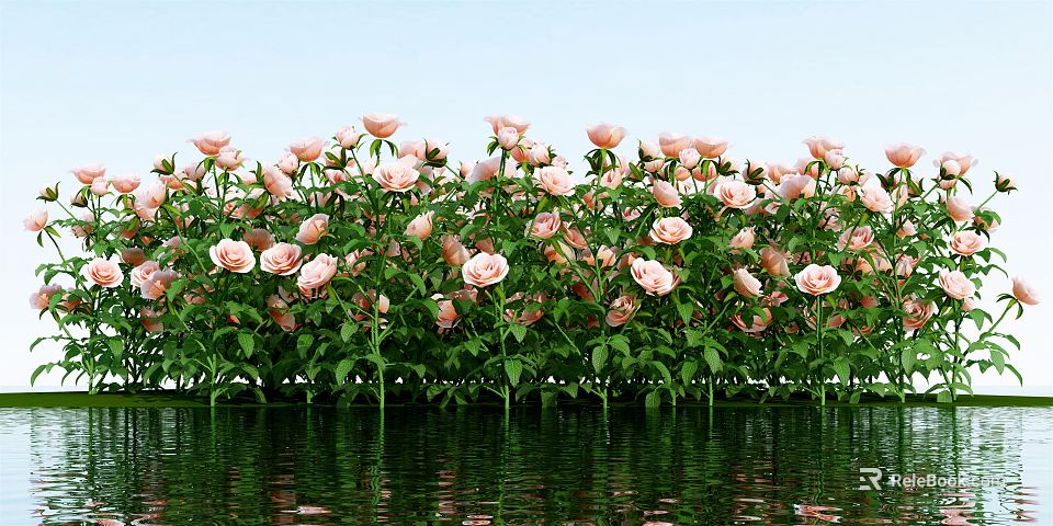 Blooming Pink Flowers With Green Leaves Against Blue Sky And Water Reflection 3d model 