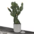 Decorative Cactus Potted Plant in Gray Textured Pot on Textured Cloth with Small White Stone