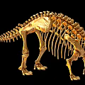 Dinosaur fossil 5 pterosaur dinosaur skeleton dinosaur skeleton 3d model