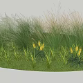 Grass and Flower Garden in Circular Lawn With Diverse Greenery and Yellow Blooms