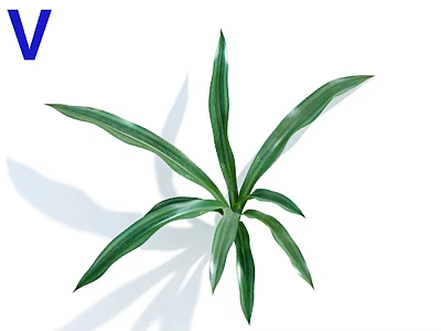 Indoor Bonsai Potted Plant With Green Long Leaves For Home Decor 3d model