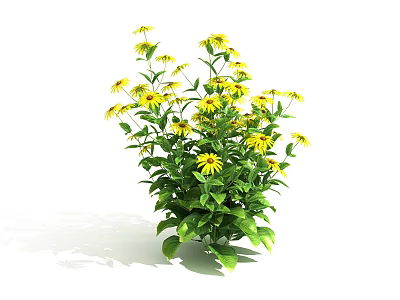Blooming Yellow Flowers With Lush Green Leaves In Potted Plant Decoration 3d model