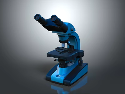Durable Household Binocular Microscope for Home Use with Blue Stable Base and Stage 3d model