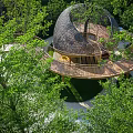 Spiral Wooden Treehouse Surrounded by Lush Green Trees with Circular Platform