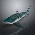 3D Rendered Shark With Blue Green And White Stripes On Dark Background With Reflection