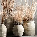 Decorative Potted Dried Plants in Rustic Ceramic Pots with Wheat Ears and Grass