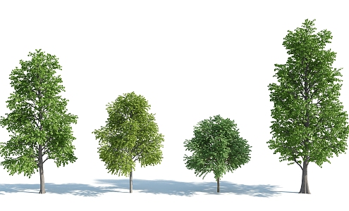 The Modern Tree 3d model