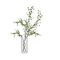Transparent Glass Vase With Brown Branches And Small Green Leaves For Home Decor