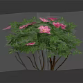 Elegant Pink Flowers In Decorative Vase With Green Leaves For Home Decor