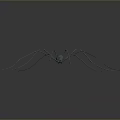 Spider with long thin legs and metallic texture on gray gradient background