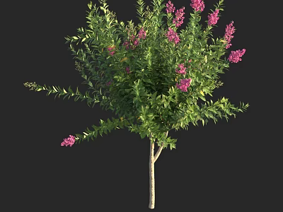 Lush Green Leaf Shrub With Pink Flowers And Healthy Branches 3d model
