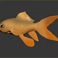 Orange Goldfish With Shiny Scales And Flowing Fins On Black Surface