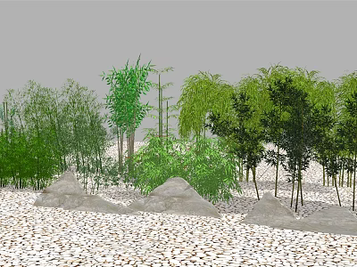 Bamboo And Lush Greenery In Landscape With Rocks And Pebbles 3d model