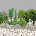 Bamboo And Lush Greenery In Landscape With Rocks And Pebbles