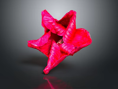Vibrant Red Flower With Ruffled Petals On Dark Background And Shiny Reflection 3d model