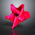 Vibrant Red Flower With Ruffled Petals On Dark Background And Shiny Reflection