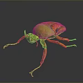 Vibrant Green Orange Beetle With Metallic Sheen Body Long Antennae And Legs