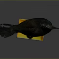 Detailed Cormorant Bird Specimen Standing On Yellow Base Against Gray Background