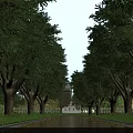 Municipal Road Lined With Tall Trees Green Lawns And Surrounding Buildings