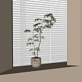 Bonsai plant ornaments 3d model